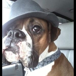 Meet your Posher, Randy